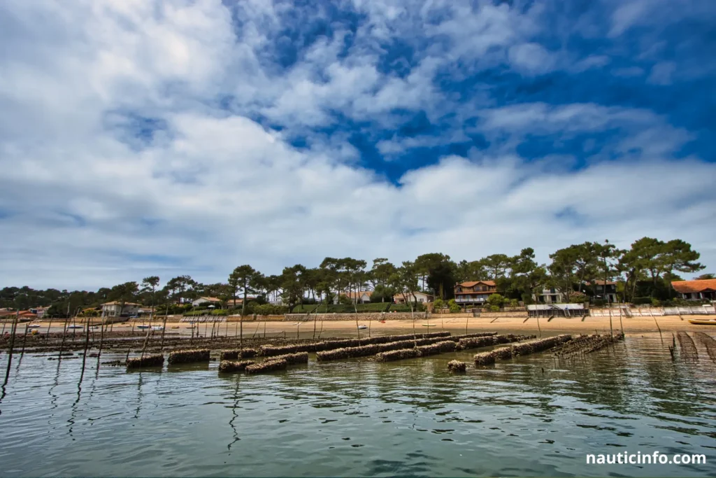 Navigating Arcachon Bay : The Oyster Culture and Heritage