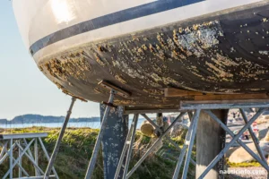 The Ultimate Guide to Eco-Friendly Antifouling